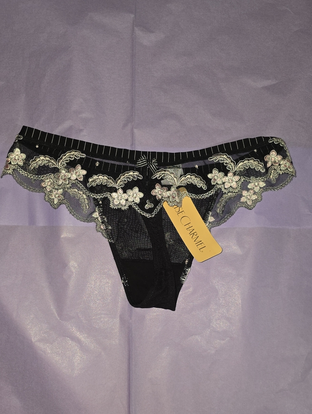 NWT Lise Charmel "Dandy Chéri" Luxury Embroidered Thong Eclat Soir FR 1 / US XS